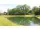 A view of the community pond, surrounded by green grass and mature trees at 6298 Briargate Dr, Zionsville, IN 46077