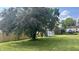 Green backyard with lawn, mature tree, new fence and garden sheds at 6408 W Taylor Rd, Muncie, IN 47304