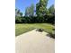 View of a well maintained grassy yard surrounded by green trees and lush bushes at 12536 Teacup Ne Way, Indianapolis, IN 46235