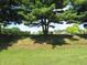 View of the backyard with a large pine tree at 2996 Colony Lake W Dr, Plainfield, IN 46168