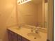 Bright bathroom featuring double sinks, ample countertop space, and a large mirror at 2996 Colony Lake W Dr, Plainfield, IN 46168