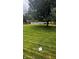 Large backyard with mature tree and privacy fence at 336 Brookside Ln, Plainfield, IN 46168
