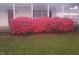 Landscaping near the front porch of the house, featuring a healthy, red bush at 6052 N Deckshire Ln, Shirley, IN 47384