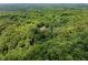 Aerial view of a secluded lot in a lush, green, tree-filled, and private location at 1125 Observatory Rd, Martinsville, IN 46151