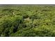 Aerial view of a secluded lot in a lush, green, tree-filled, and private location at 1125 Observatory Rd, Martinsville, IN 46151