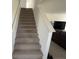 Carpeted staircase with white railing leading to the upper level of the home at 1256 Little Rodeo Pl, Greenwood, IN 46143