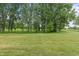 Scenic green of the golf course showcases lush grass, tall trees, and sky background at 13172 Duval Dr, Fishers, IN 46037