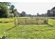 A wooden fence divides the grass lawn on the property, with tall trees providing shade and privacy at 3942 Senour Rd, Indianapolis, IN 46239