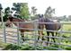 Two horses graze in a lush, fenced pasture, enjoying the outdoors on this beautiful property at 3942 Senour Rd, Indianapolis, IN 46239
