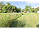 The grassy yard leads up to the single-story home on the property, with large trees adding privacy at 3942 Senour Rd, Indianapolis, IN 46239
