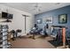 Home gym featuring a variety of weight training and exercise equipment, with blue accent wall at 4415 Summer Dr, Zionsville, IN 46077