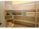 Bright walk-in closet features adjustable shelving for optimal organization and storage solutions at 5220 Orahood Ct, Plainfield, IN 46168