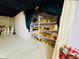 Basement with storage room and shelving at 6045 Copeland Mills Ct, Indianapolis, IN 46221