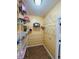 Walk-in pantry with white wire shelving for optimal storage and organization at 6045 Copeland Mills Ct, Indianapolis, IN 46221