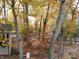 Backyard during the fall season featuring trees with yellow leaves, shed, and fence, creating a scenic view at 908 Queensbury Dr, Noblesville, IN 46062