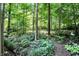 Wooded backyard with mature trees and greenery around the property at 944 Briar Patch Ln, Greenwood, IN 46142