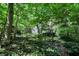 Wooded backyard with mature trees and greenery around the property at 944 Briar Patch Ln, Greenwood, IN 46142
