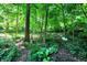 Wooded backyard with mature trees and greenery around the property at 944 Briar Patch Ln, Greenwood, IN 46142
