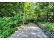 Long driveway leading to property lined by mature trees and stone walls at 944 Briar Patch Ln, Greenwood, IN 46142