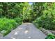 Long driveway leading to property lined by mature trees and greenery at 944 Briar Patch Ln, Greenwood, IN 46142