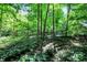 Lush, green grounds with tall trees create a serene and private atmosphere at 944 Briar Patch Ln, Greenwood, IN 46142