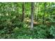 Lush landscape with mature trees and greenery throughout property at 944 Briar Patch Ln, Greenwood, IN 46142