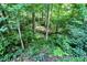 Lush landscape with mature trees and greenery throughout property at 944 Briar Patch Ln, Greenwood, IN 46142