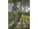 View of a backyard with green grass, a shed and trees at 9550 N Delaware St, Indianapolis, IN 46240
