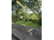 View of the green backyard with trees and a shed at 9550 N Delaware St, Indianapolis, IN 46240