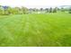 Expansive green backyard featuring a serene pond, providing a peaceful and natural setting at 7845 Centerstone Ct, Indianapolis, IN 46259