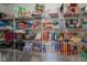 Pantry featuring organized shelving with an assortment of food items and storage solutions at 13884 Wendessa Dr, Fishers, IN 46038