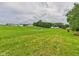 Large green backyard featuring lush green grass and trees at 203 Plum E St, Frankton, IN 46044