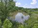 Scenic pond surrounded by mature trees and lush greenery at 2868 S 525 W, Trafalgar, IN 46181