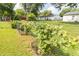 View of the backyard with a chain link fence and green space at 814 N Noble St, Greenfield, IN 46140