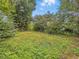 Expansive backyard featuring grass and overgrown foliage with potential for transformation at 1550 Hoefgen St, Indianapolis, IN 46203