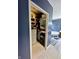 Walk-in closet boasting shelving, storage, and a safe for valuables at 4655 Rockcress Ct, Zionsville, IN 46077