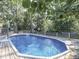 Backyard swimming pool surrounded by mature trees at 6019 S Tacoma Ave, Indianapolis, IN 46227
