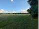 Expansive green field under a bright blue sky, bordered by a distant tree line, with lush vegetation at 8923 Maze Rd, Indianapolis, IN 46259