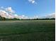 Lush field with green grass and small white flowers under a blue sky with puffy white clouds at 8923 Maze Rd, Indianapolis, IN 46259