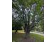 Lush trees line the street creating a picturesque and tranquil atmosphere at 8923 Maze Rd, Indianapolis, IN 46259