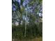 View of tall trees and forest canopy, showcasing the natural beauty of the surrounding landscape at 8923 Maze Rd, Indianapolis, IN 46259