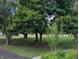Picturesque front yard featuring mature shade trees enhancing the property's curb appeal at 8923 Maze Rd, Indianapolis, IN 46259