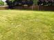 Expansive fenced backyard, perfect for entertaining or enjoying outdoor activities at 9987 Rainbow Falls Ln, Fishers, IN 46037