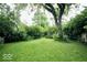 This backyard features a large tree and thick shrubs along the edge of the property at 2305 Barnor Dr, Indianapolis, IN 46219