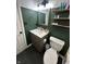 Elegant bathroom featuring dark green walls, wood-look vanity, and modern fixtures at 6588 Dunsdin Dr, Plainfield, IN 46168