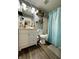Bathroom features a white vanity with wood-look floors and blue shower curtain at 6588 Dunsdin Dr, Plainfield, IN 46168