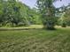 Spacious backyard with lush greenery, mature trees, and well-maintained lawn at 8423 Mud Creek Rd, Indianapolis, IN 46256