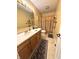 Well-lit bathroom with a long vanity, decorative rugs and a shower with curtain at 8425 Brook Pointe Ct, Indianapolis, IN 46234