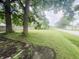 Open backyard featuring a lush green lawn and mature trees at 1002 S Fleming St, Indianapolis, IN 46241
