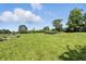 Large, grassy backyard featuring well-maintained lawn and garden area at 1346 N Buck Creek Rd, Greenfield, IN 46140